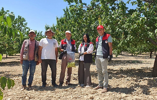 Elazığ'da üretim alanlarında pestisit takibi