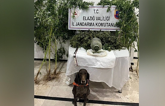 Elazığ'da uyuşturucu operasyonu: 1 kişi tutuklandı