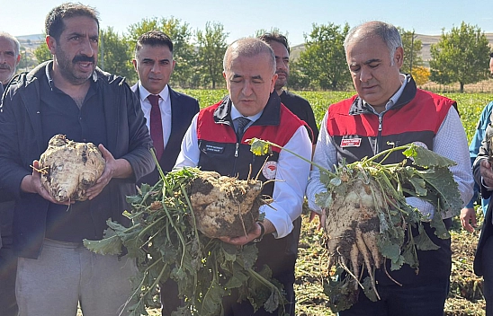 Elazığ'da Vali Hatipoğlu direksiyona geçti, şeker pancarı hasadı yaptı