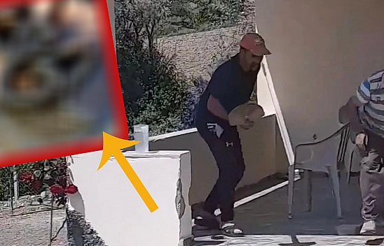 Elazığ'da Vatandaşlar Artık Ne Yapacağına Şaşırdı Evlere Bile Giriyorlar!