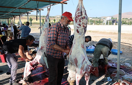 Elazığ'da vatandaşlar, kurbanlarını kesti