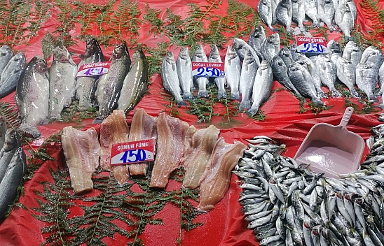 Elazığ'da Vatandaşlar Ne Yiyecek?