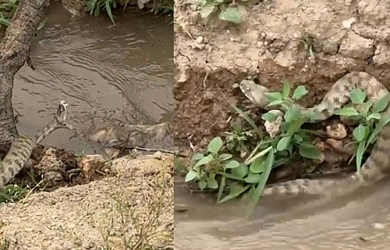 Elazığ'da Vatandaşlar Tedirgin Olmaya Devam Ediyor Sayıları Her Geçen Gün Artıyor!