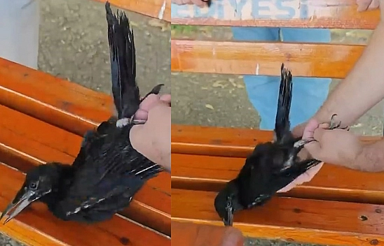 Elazığ'da vatandaştan yürek ısıtan hareket