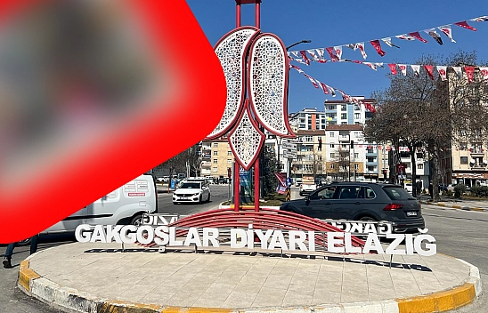 Elazığ'da yağmur bereketiyle geldi