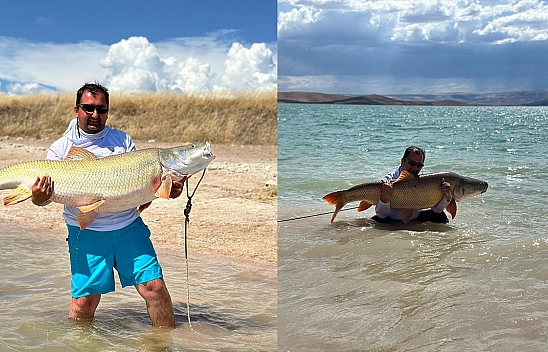 Elazığ'da Yakalanan Dev Fırat Turnasının Ağırlığını Duyan Şok Oldu