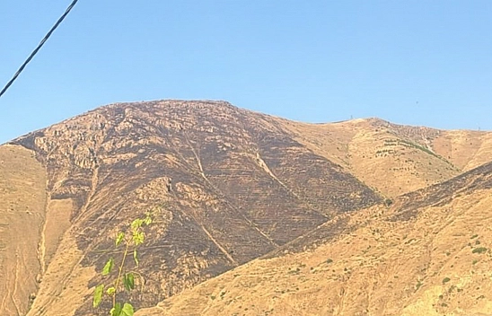 Elazığ'da yangın kontrol altına alındı