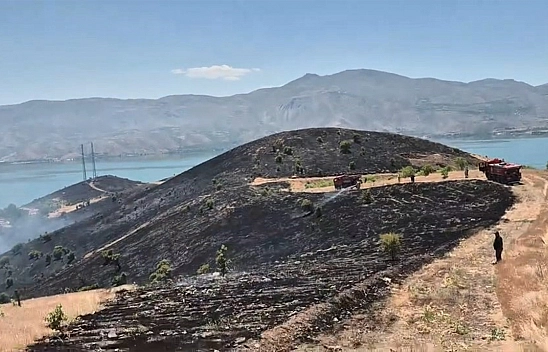 Elazığ'da yangın panik yarattı