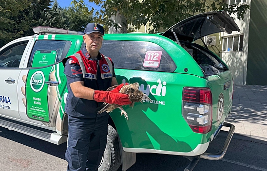 Elazığ'da yaralı kuş koruma altına alındı