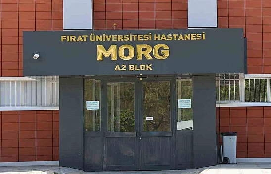 Elazığ'da yasak ilişki cinayeti: 1 ölü