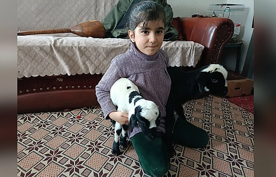 Elazığ'da yeni doğan kuzulara evde koruma