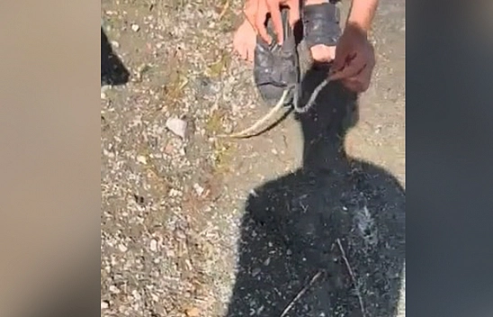 Elazığ'da yılanlı şaka
