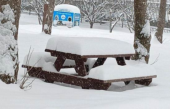 Elazığ'da yoğun kar, ulaştığı cm ile dikkat çekti