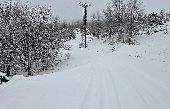 Elazığ'da yoğun kar yağışı  köy yollarını kapattı