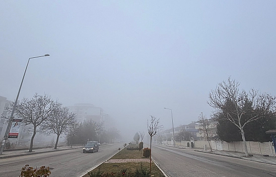 Elazığ'da Yoğun Sis Etkili Oldu