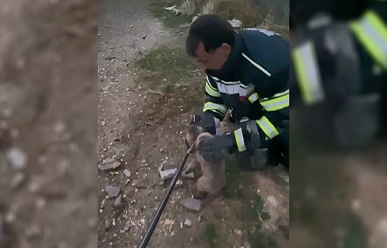 Elazığ'da yürek ısıtan kurtarma operasyonu