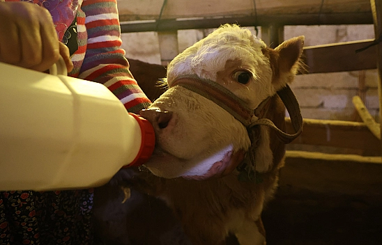 Elazığ'da yürekleri ısıtan görüntü