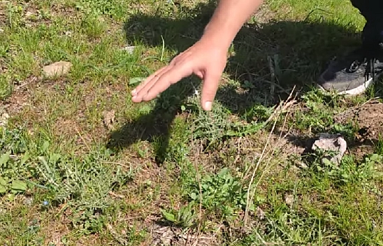 Elazığ dağlarının gizli hazinesi! Kilosu 70 TL, sakızı altın değerinde… Binlerce yıldır şifa dağıtıyor