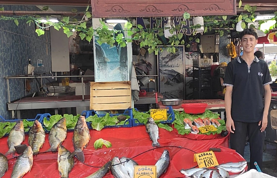 Elazığ'daki balık fiyatları