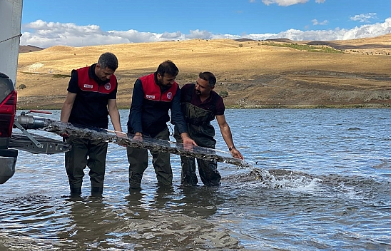 Elazığ'daki Gölet ve Barajlara 1 Milyon Sazan Yavrusu Bırakıldı