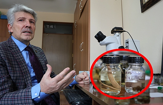 Elazığ'dan dünyaya tıbbi sülük eğitimi