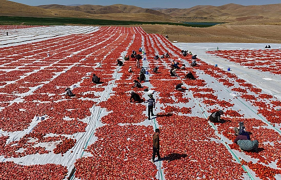 Elazığ'dan dünyaya uzanan ihracat