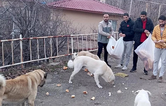 Elazığ'dan Tunceli'ye 'can' yolculuğu