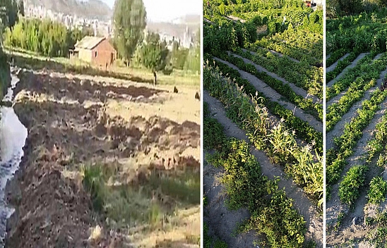 Elazığ'dan üretime milli reçete: dağ idi, bağ oldu