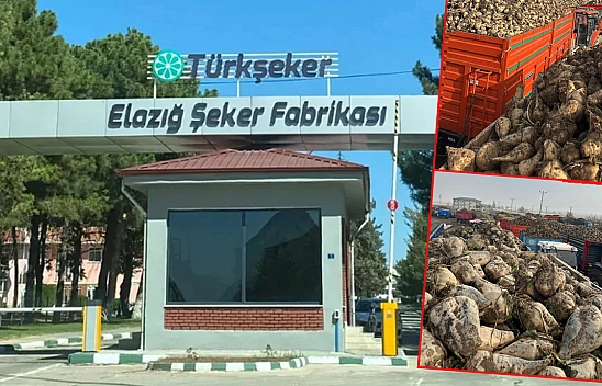 Elazığ ekonomisine 'şeker' dopingi