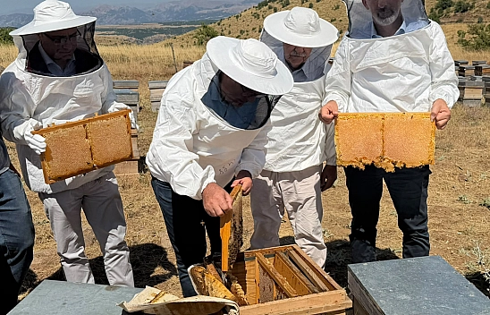 Elazığ geven balında organik hasat başladı