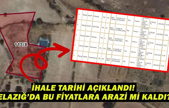 Elazığ'da hazineye ait taşınmazlar kiraya verilecek: Elinizden kayıp gitmeden harekete geçin!