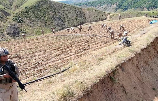 Elazığ İl Jandarma Komutanlığından Lice'ye uyuşturucu operasyonu