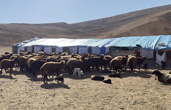 Elazığ'ın 3 ilçesi karantina altında: Ekiplerin çalışması sürüyor!