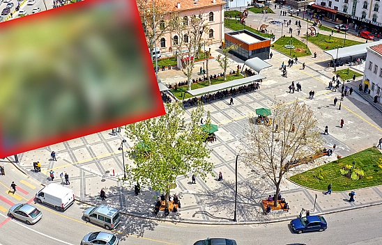 Elazığ'ın bereketli topraklarından sofralara: Elazığ'da tanesi 10 liradan kapış kapış satıldı