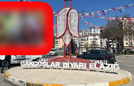 Elazığ'ın bu patlıcanı bildiklerinizden farklı