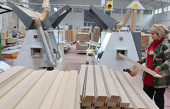 Elazığ'ın Kadın Ustaları Erkeklere Taş Çıkartıyor