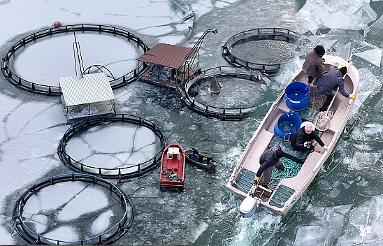 Elazığ'ın komşu ilinde belgeselleri aratmayan görüntüler