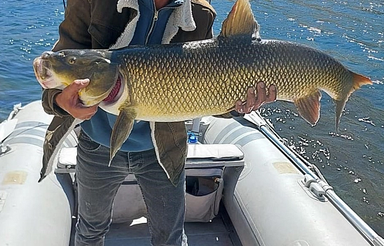 Elazığ Karakaya Barajı'nda amatör balıkçıdan büyük av