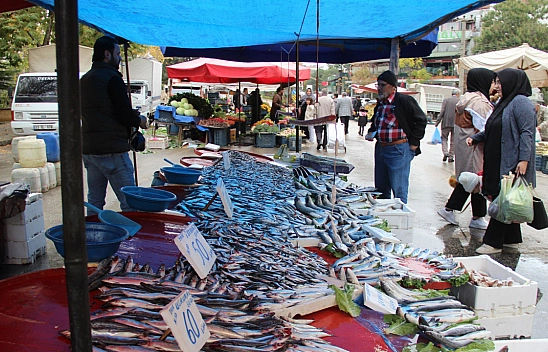 Elazığ Pazarının Balık Fiyatları Vatandaşları Şaşırttı!