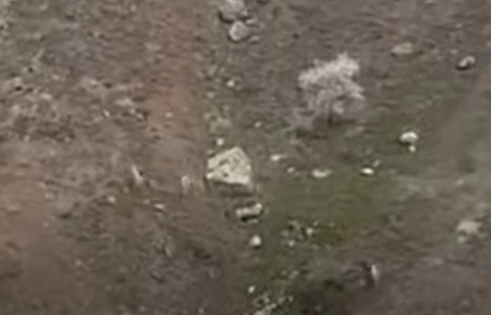 Elazığ şehir merkezine kadar indi: Bingöl, Tunceli, Malatya ve Diyarbakır sakinleri uyanık olun!