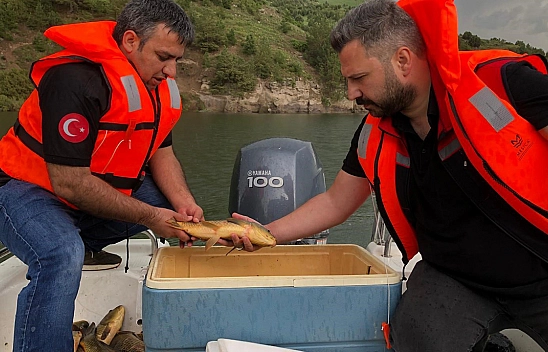 Elazığ Su Ürünleri Araştırma Enstitüsü her yerde