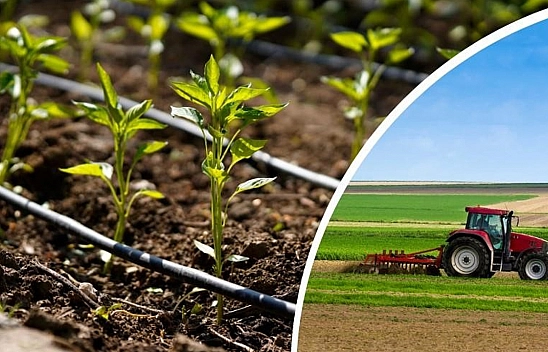 Elazığlı çiftçiler hesaplarınızı kontrol edin! Bakanlık duyurdu