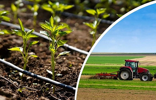 Elazığlı çiftçilere müjde!