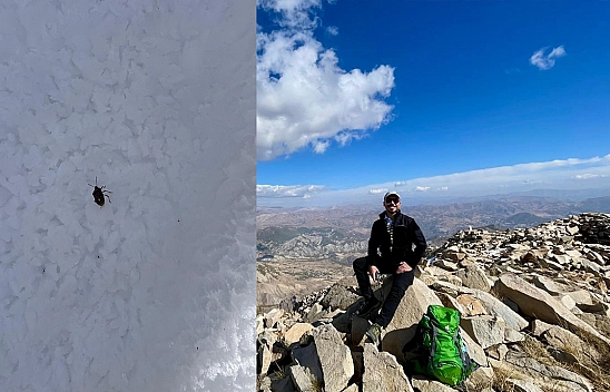 Elazığlı Dağcılar Bingöl Sülbüs Dağı'nda Şaşırtan Türle Karşılaştı!