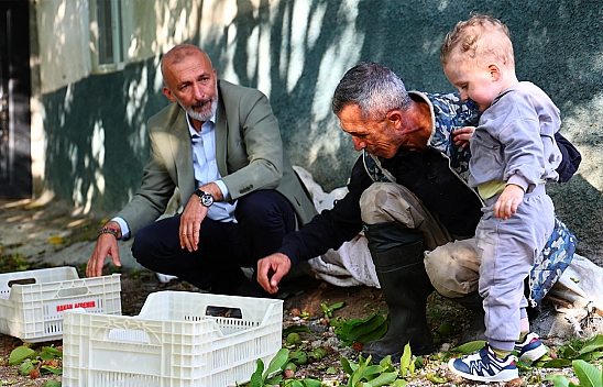 Elazığlı öğretmen 35 dönümlük bahçesinde ceviz üretiyor