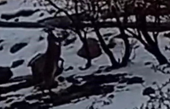 Elazığlılar dikkat! Avlanma cezası 650 bin lira