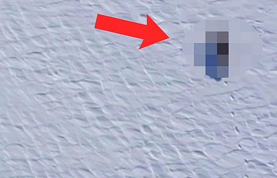 Elazığlılar Dikkat! Çevre İllerde Görüldü! Elazığ'da Da Ortaya Çıkabilir!