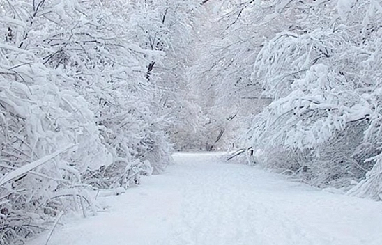 Elazığlılar dikkat! Meteoroloji'den uyarı