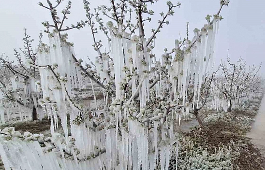 Elazığlılar dikkat! Meteoroloji'den bu uyarı size geldi