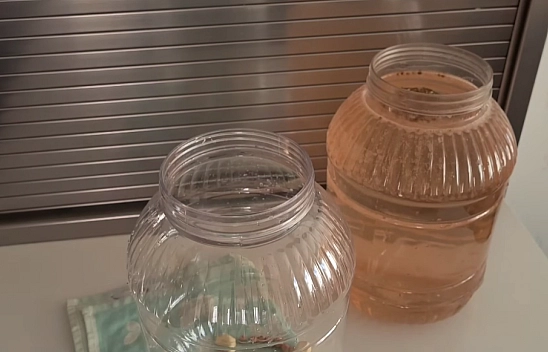 Elazığlılar kışın sofralarından eksik etmiyor! Uzmanlar faydasını saymakla bitiremiyor